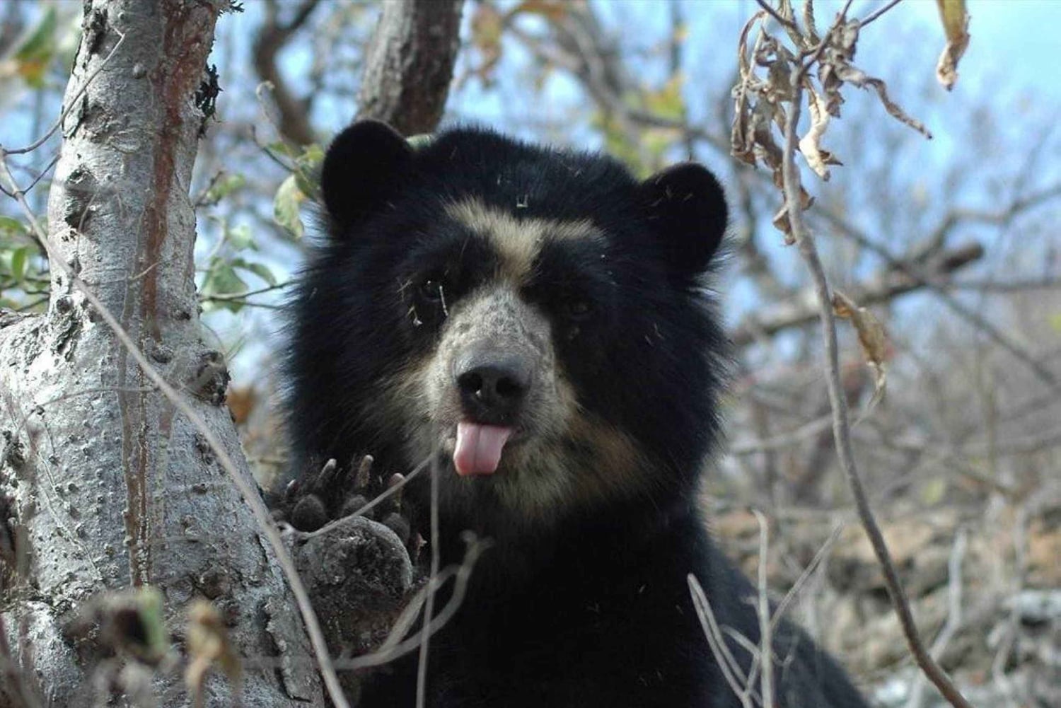 Chiclayo: Visita à Reserva Ecológica Chaparri