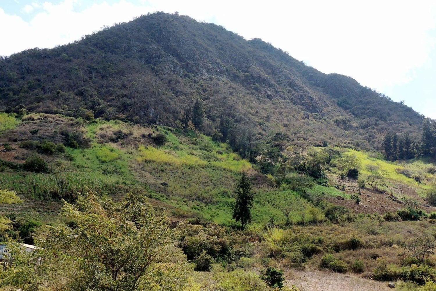 Chiclayo: Visita à Reserva Ecológica Chaparri