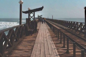 Чиклайо: Экскурсия по прибрежным чудесам Пиментеля и страусиной ферме