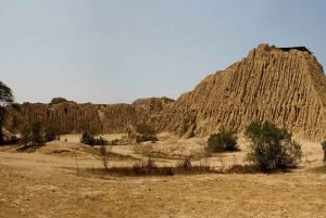 Chiclayo: Tomb of the Lord of Sipan and Site Museum Day Tour