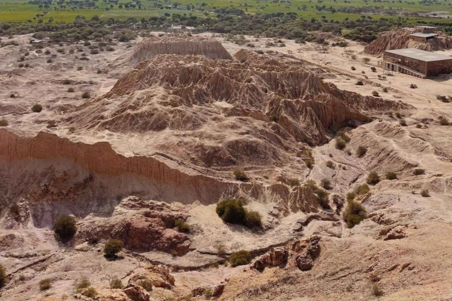 Chiclayo: Túcume's Pyramids and Pomac Rainforest