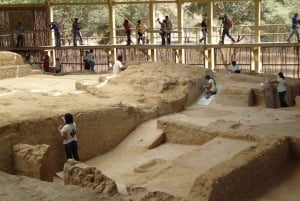 Chiclayo: Túcume's Pyramids and Pomac Rainforest