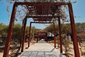 Chiclayo: Túcume's Pyramids and Pomac Rainforest