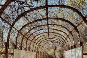 Chiclayo: Túcume's Pyramids and Pomac Rainforest