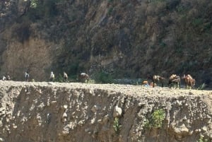 Choquequirao Route der Sonne