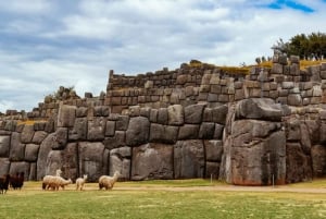 City Tour Cusco Qoricancha Sacsayhuaman y Tambomachay