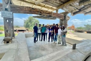 TOUR DELLA CITTÀ ICA-HUACACHINA+BUGGIES IN AUTO PRIVATA DA PARACAS