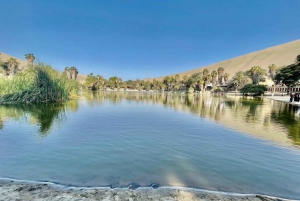 TOUR DELLA CITTÀ ICA-HUACACHINA+BUGGIES IN AUTO PRIVATA DA PARACAS