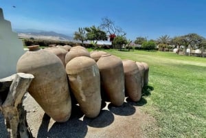 TOUR DELLA CITTÀ ICA-HUACACHINA+BUGGIES IN AUTO PRIVATA DA PARACAS