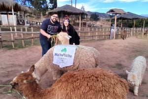 Stadstur i Cusco – Guidad på portugisiska