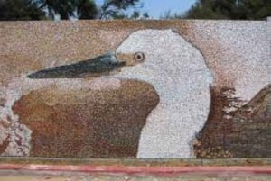 City Tour Trujillo |Panoramic bus|