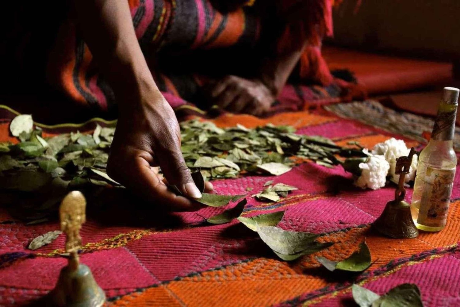 Coca Leaf Reading: Ancestral Ceremony -La Luz Retreat Temple