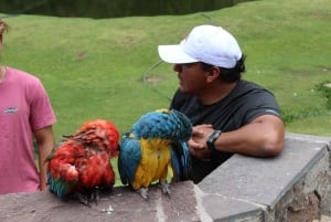 Cochahuasi Animal Sanctuary Ticket + Special Tour