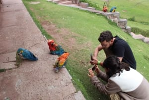 Cochahuasi Animal Sanctuary Ticket + Special Tour
