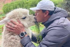 Cochahuasi Animal Sanctuary Ticket + Special Tour