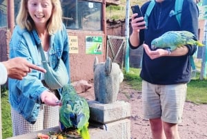Cochahuasi Animal Sanctuary Ticket + Special Tour