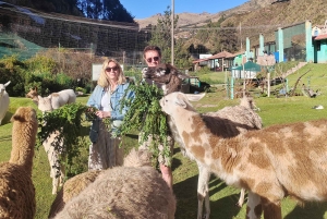 Cochahuasi Animal Sanctuary Ticket + Special Tour