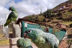 Cochahuasi Animal Sanctuary Ticket + Special Tour