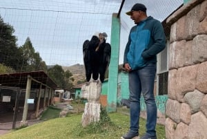 Cochahuasi Animal Sanctuary Ticket + Special Tour