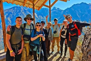 Colca Canyon: 1-Day Tour, 1.5-Hour Hike, Condors, and Panoramic Views
