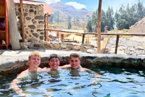 Colca Canyon: 1-Day Tour, 1.5-Hour Hike, Condors, and Panoramic Views