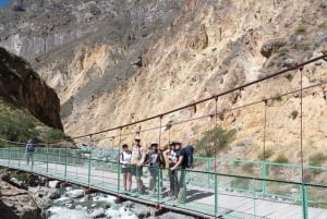 Colca Canyon: 1-Day Tour, 1.5-Hour Hike, Condors, and Panoramic Views