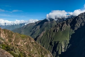 Ab Arequipa: 2-tägige Colca-Tal-Tour nach Puno