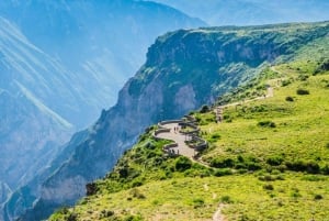 From Arequipa: 1-Day Colca Canyon Tour with Transfer to Puno