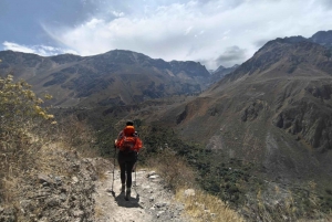 FRA AREQUIPA: Colca Canyon Trekking 3 dager