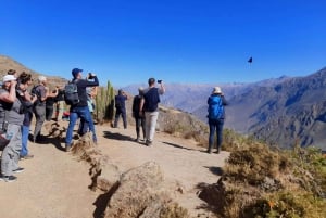 Colca Canyon Plus 2 päivää