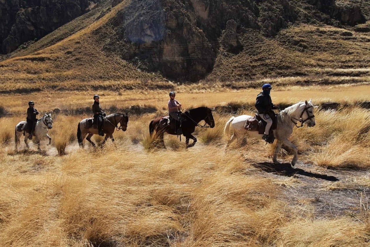 Colca: ridetur med peruansk ganghest