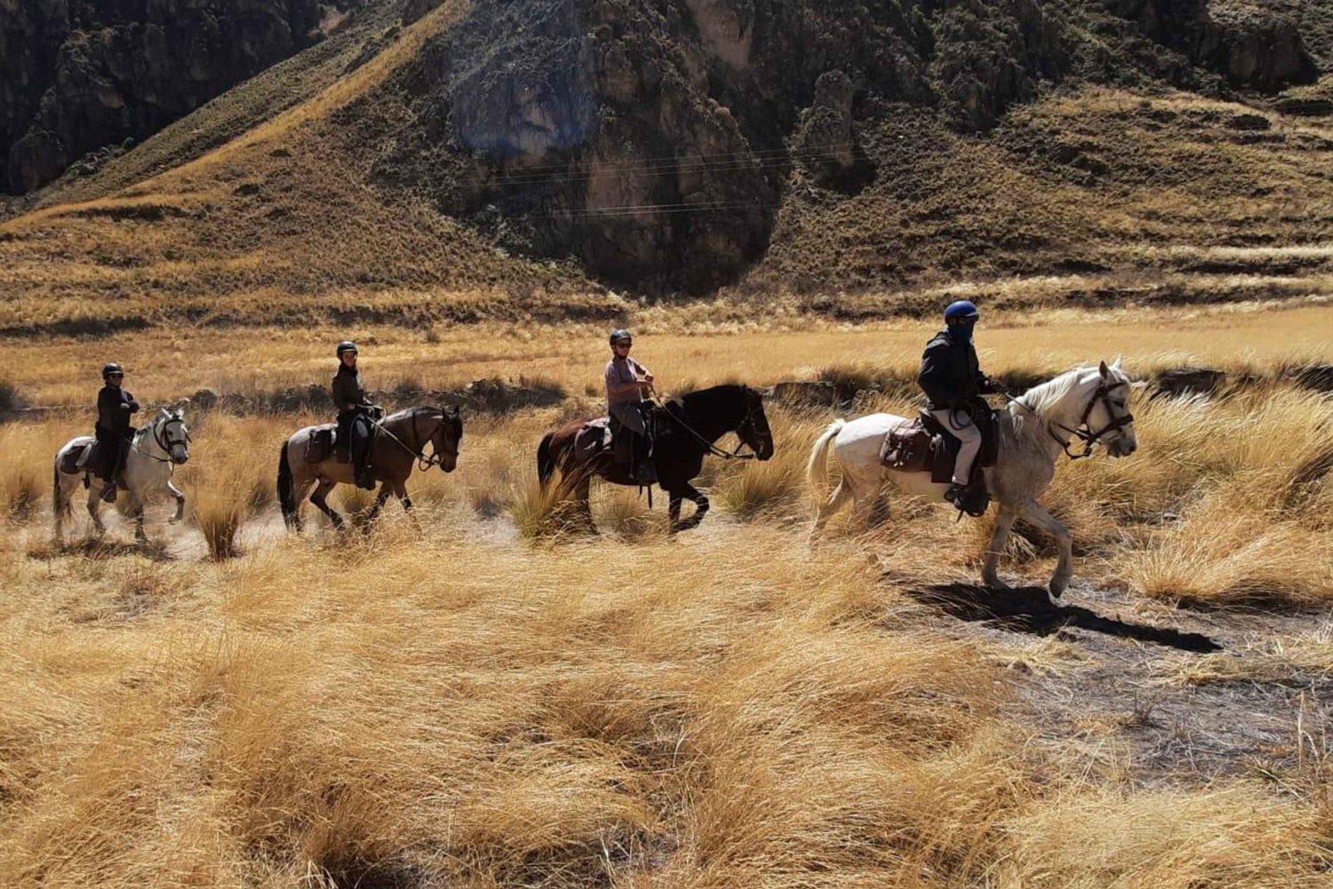Colca: cabalgata con caballo de paso peruano