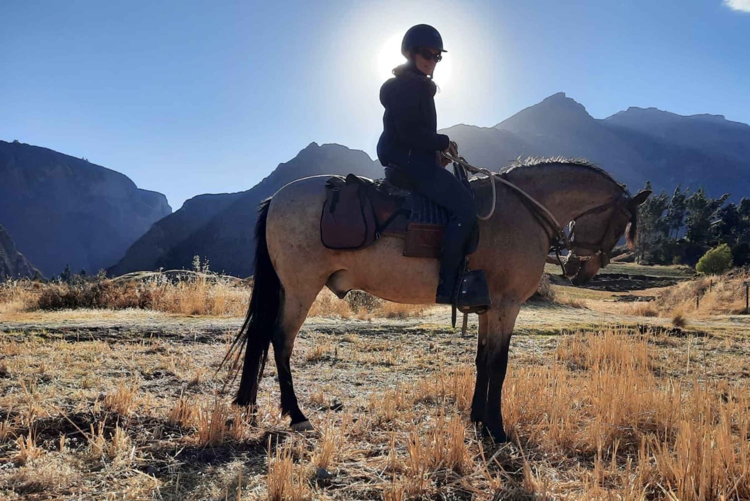 Colca: cabalgata con caballo de paso peruano