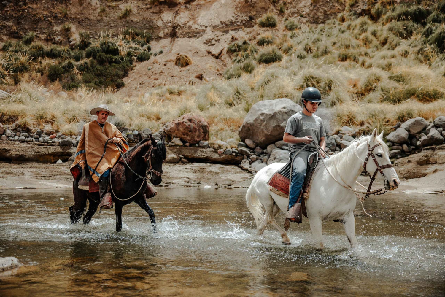 Colca: cabalgata con caballo de paso peruano