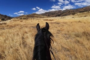 Colca: ridetur med peruansk ganghest