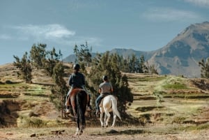 Colca: ridetur med peruansk ganghest