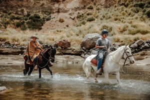 Colca: cabalgata con caballo de paso peruano