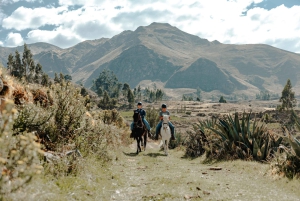 Colca: cabalgata con caballo de paso peruano