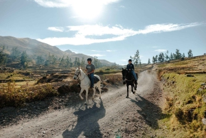Colca: cabalgata con caballo de paso peruano