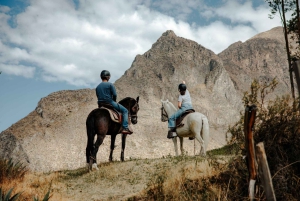 Colca: cabalgata con caballo de paso peruano