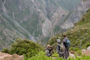 Desde Arequipa: Excursión de senderismo de 2 días al Cañón del Colca