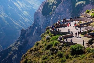 Ab Arequipa: 2-tägige Colca Canyon Trekking Tour