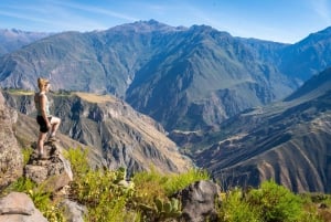 Ab Arequipa: 2-tägige Colca Canyon Trekking Tour