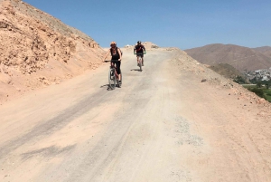 Congata Rover,3 tuntia pyöräilyretki arequipa