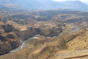 Cruz del Cóndor: een tweedaagse rondleiding vanuit Puno