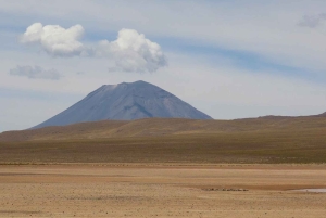 Cruz del Cóndor: een tweedaagse rondleiding vanuit Puno