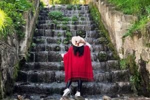 Kulturalny i gastronomiczny spacer po Cusco: zwiedzanie kolonialnych dzielnic