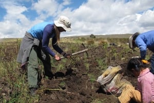 Cusco: 2-Day Ausangate Homestay with local people