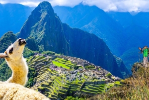 Cusco: 2-day Inca Trail to Machu Picchu