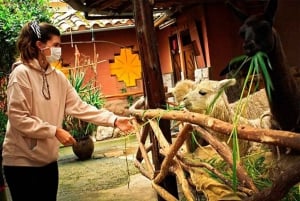 Cusco: 2-dagers privat omvisning med guide i Machu Picchu